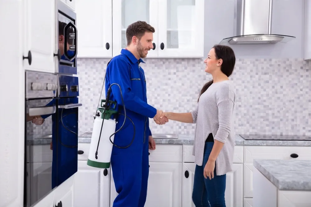 Pest Control Experts - Dana Point Best Pest Pros | Dana Point, CA | 909-344-5033