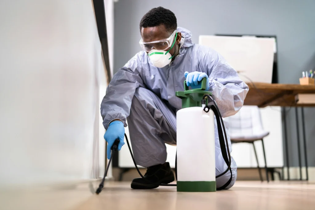 Trusted Pest Control - Dana Point Best Pest Pros | Dana Point, CA | 909-344-5033